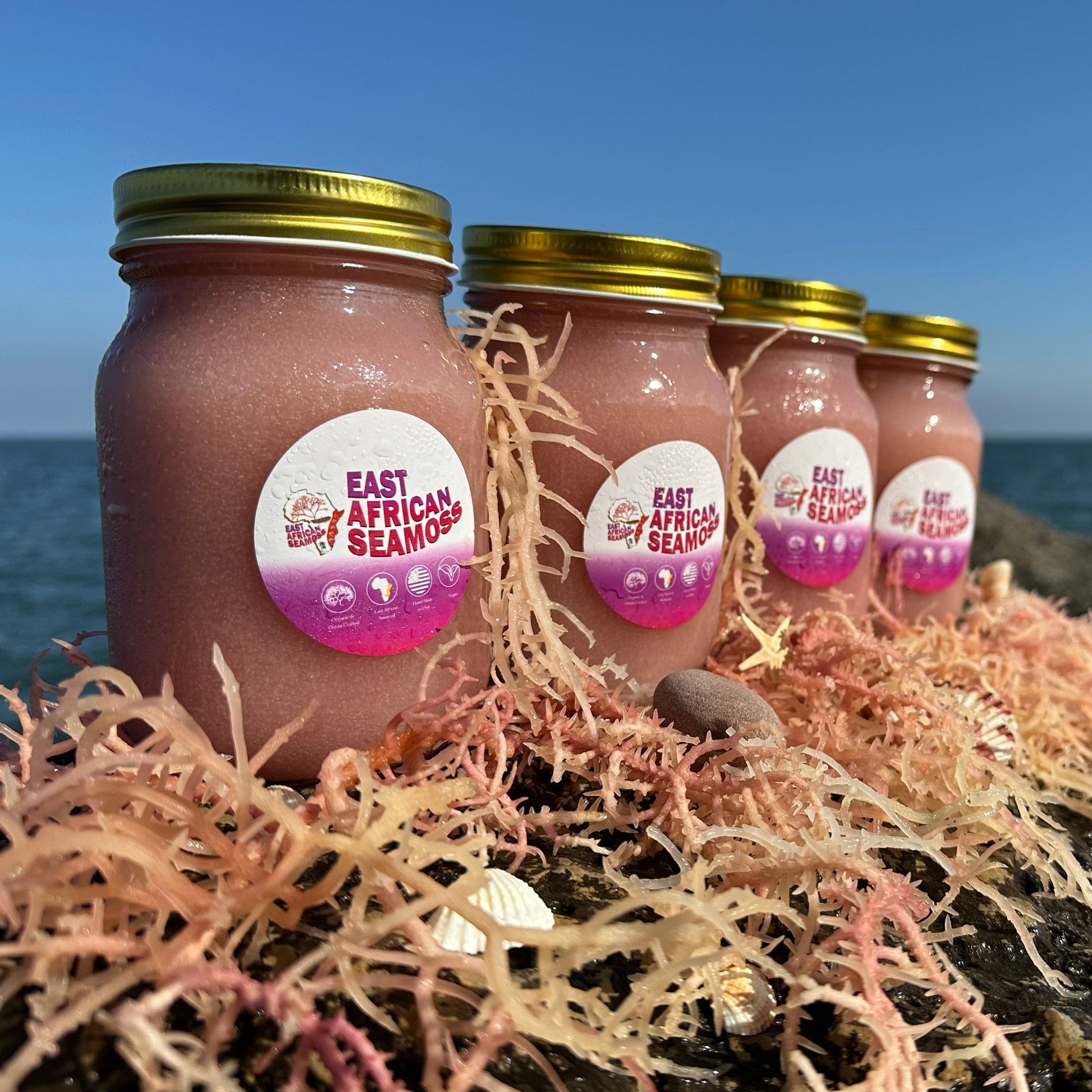 *4-PACK DEAL* RAINBOW East African Sea Moss Gel (16oz jars)